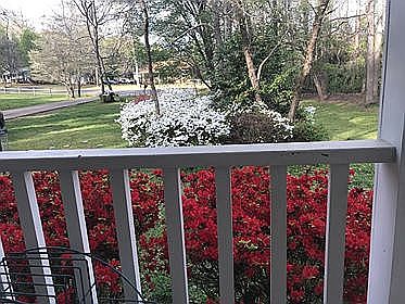 porch view of street