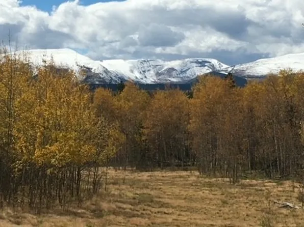 972 Lumber Jack Rd, Fairplay, CO 80440