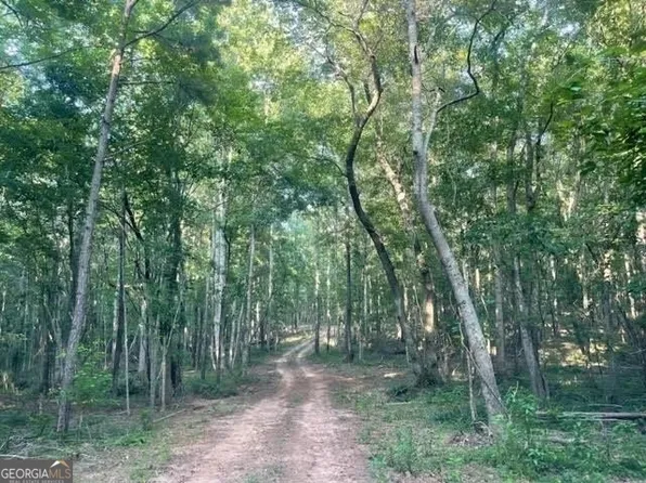 0 Nazareth Church Rd, Zebulon, GA 30295