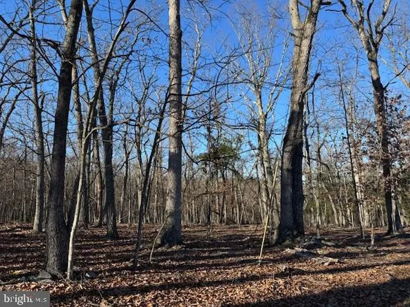 LOT 4 Turkey Ridge Ln, Berkeley Springs, WV 25411