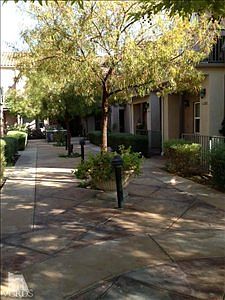 2nd image of 11202 Snapdragon St
