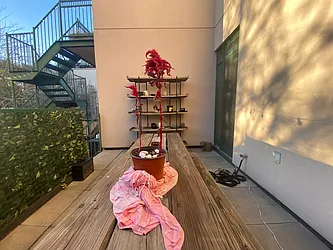 Rented by Dream Space Realty