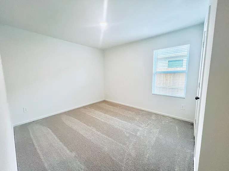 1376 Diamond Carnation Dr — Photo 9