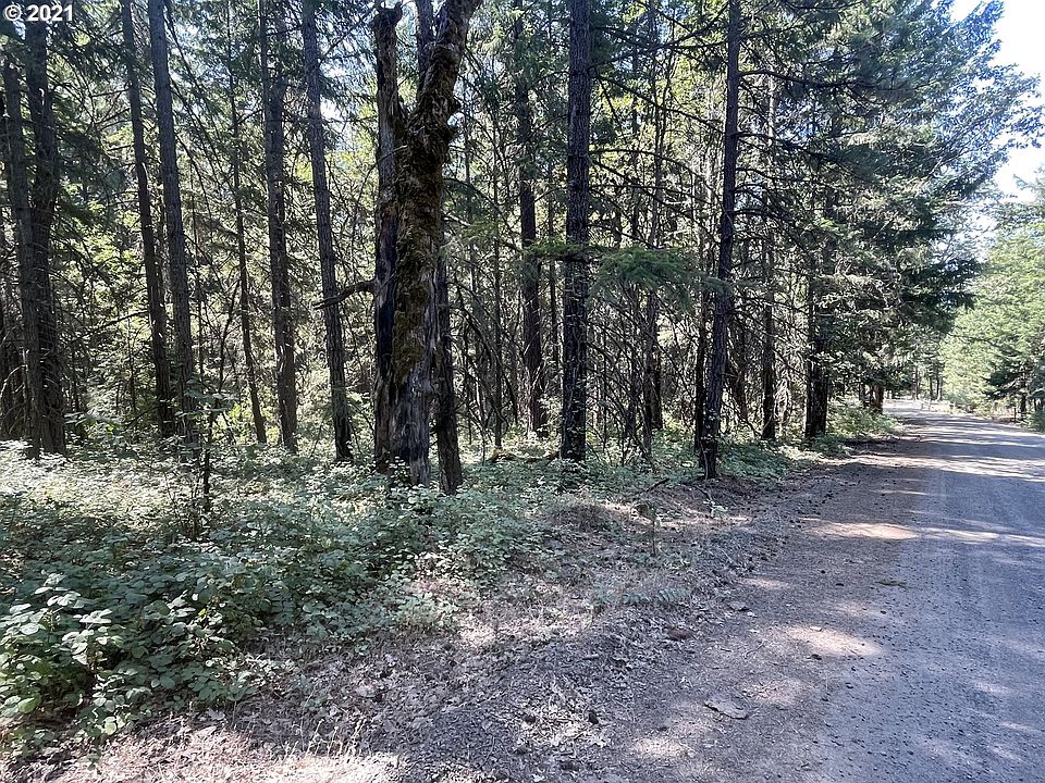 2nd image of Lyons Rd