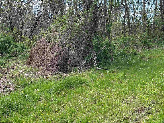 2nd image of Rush Rd