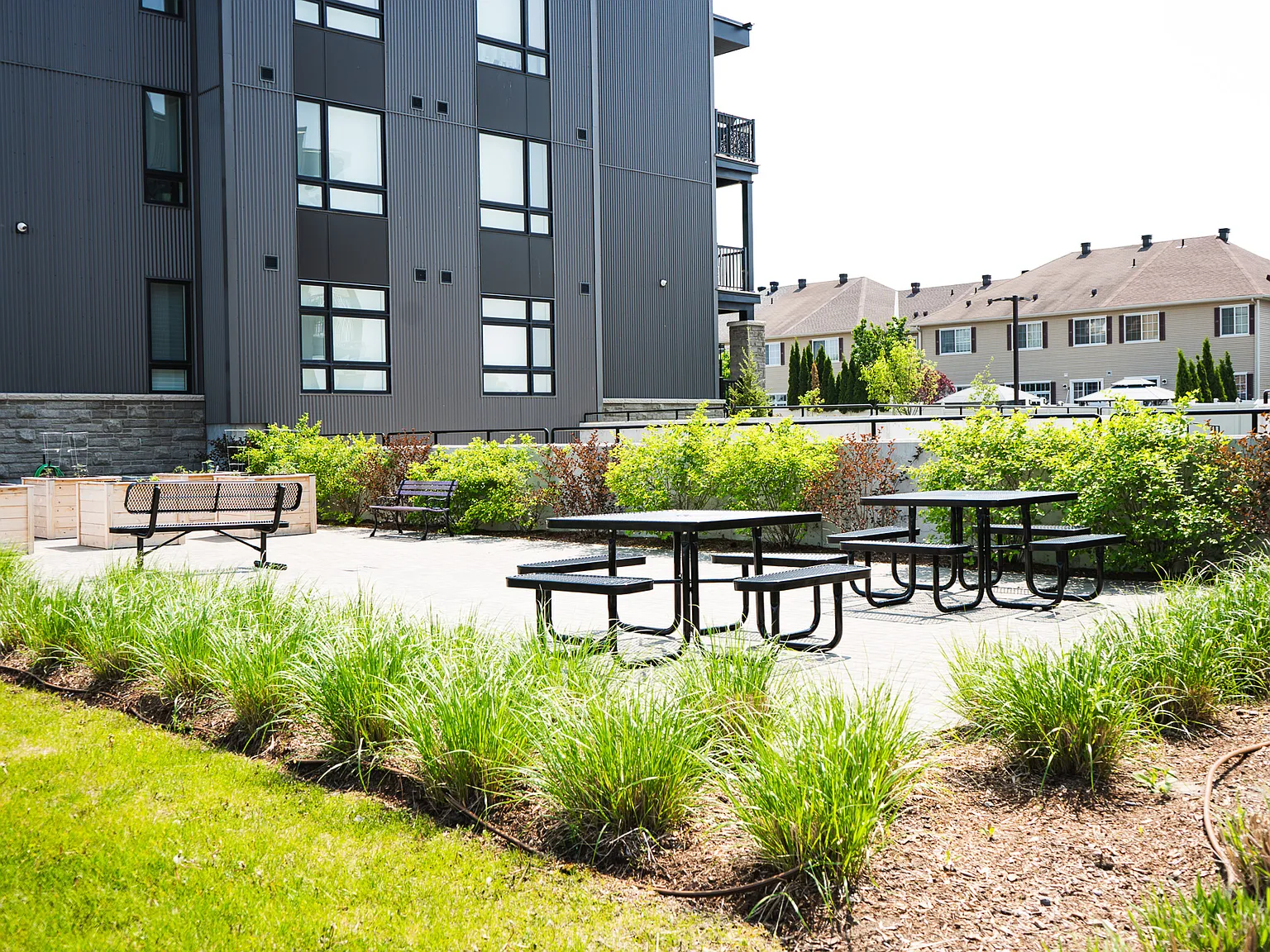 2 bed, 1214 sqft, $2,550 — Photo 4
