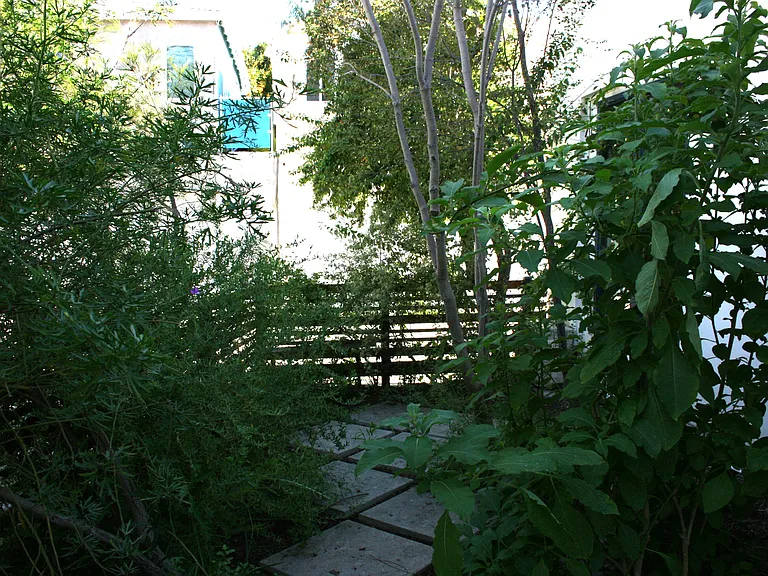 Gated front yard
