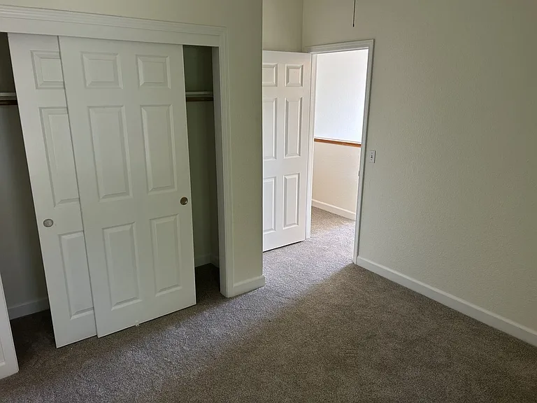 597 Canvasback Ct — Photo 15