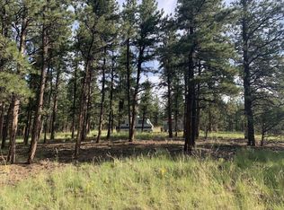 165 Gabbert Dr, Westcliffe, CO 81252
