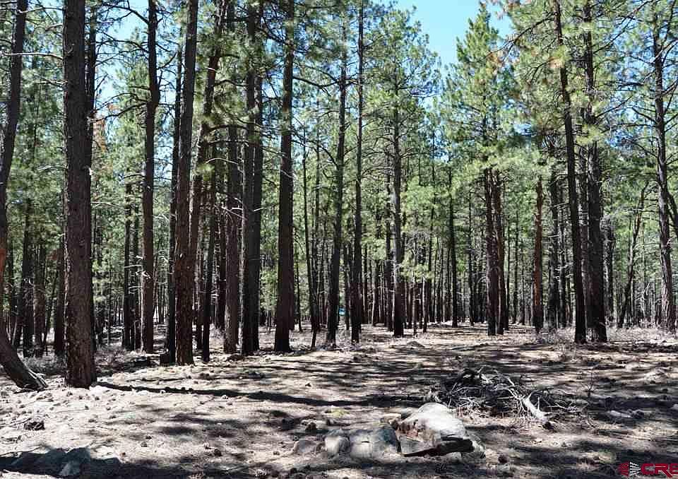 1st image of 587 Enchanted Forest Dr
