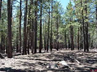587 Enchanted Forest Dr, Bayfield, CO 81122