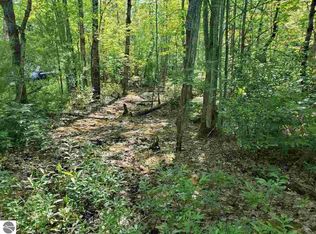 0 Nessen Rd, Thompsonville, MI 49683