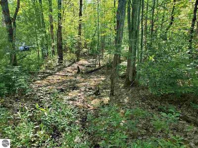 0 Nessen Rd, Thompsonville, MI, 49683