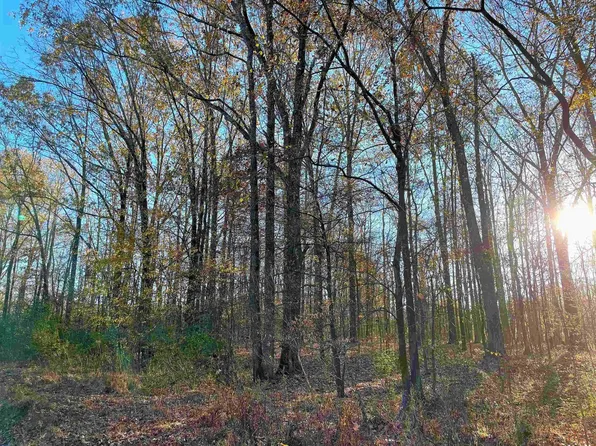 0 Hays Rd Lot 1, Moscow, TN 38057