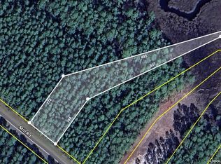 LOT 10 Mill Rd, Carrabelle, FL 32322