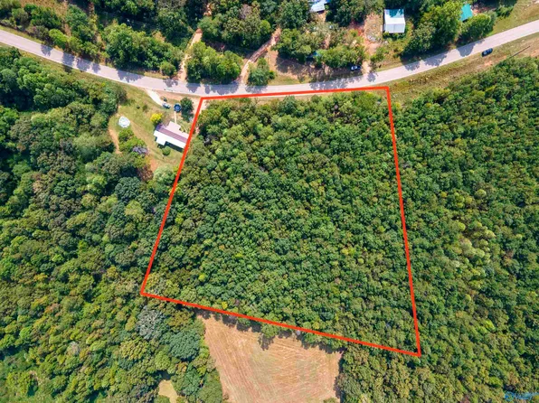 5.02 County Road 82, Wedowee, AL 36278