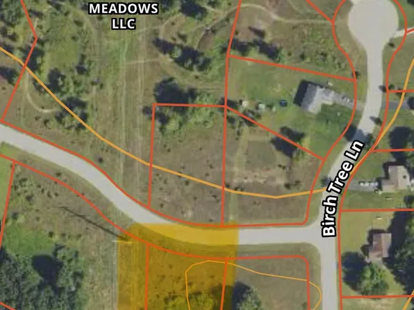 0 Birch Meadows Ln, Fowlerville, MI 48836