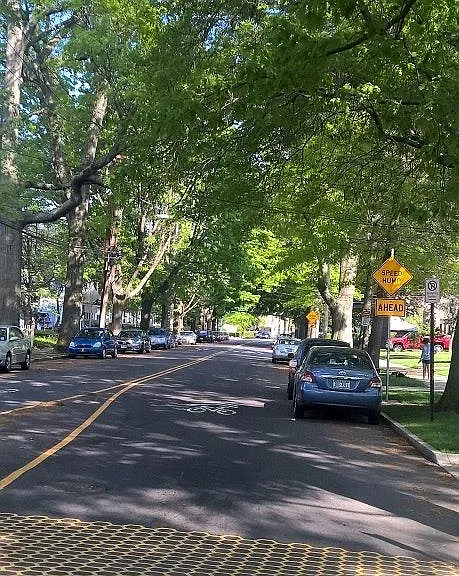 View of Street
