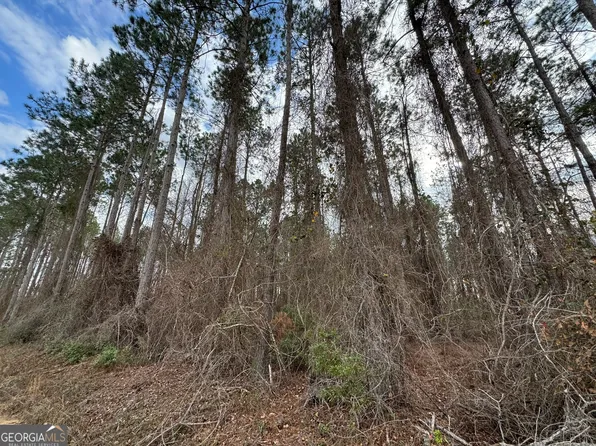 0 Cofield Rd, Eastman, GA 31023