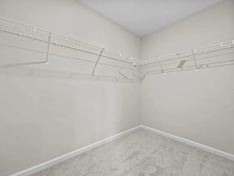 1049 Laceflower Dr — Photo 19