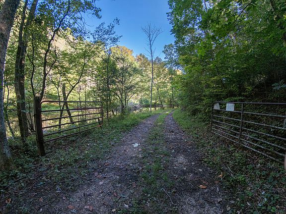 2nd image of Gillespie Hollow Rd