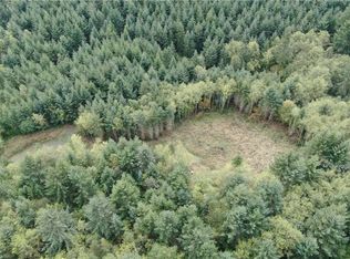 0 Macronovic Rd, Adna, WA 98522