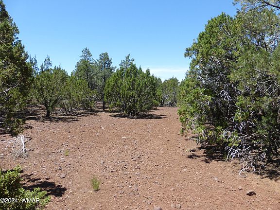 5th image of 202 County Road 3158 Lot 125