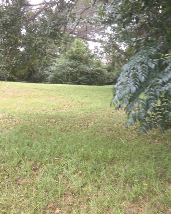 1st image of 196 Shelby Speights Dr