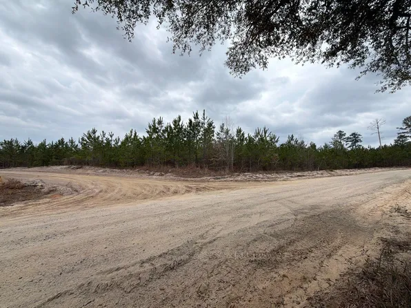 Bff Ii 5 Brunson Teal Rd, Patrick, SC 29584