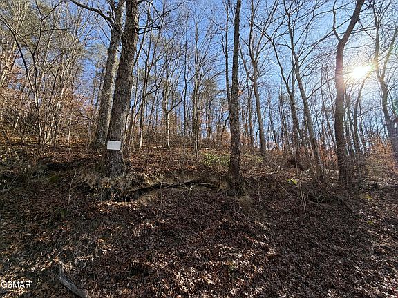 4th image of 497 Avondale Hollow Rd Lot 0