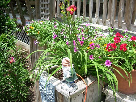 Well stocked garden