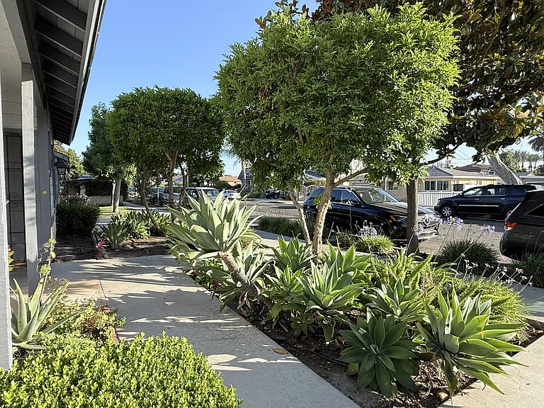 outside of the property