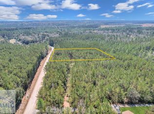0 Vic Waters Rd SE, Townsend, GA 31331