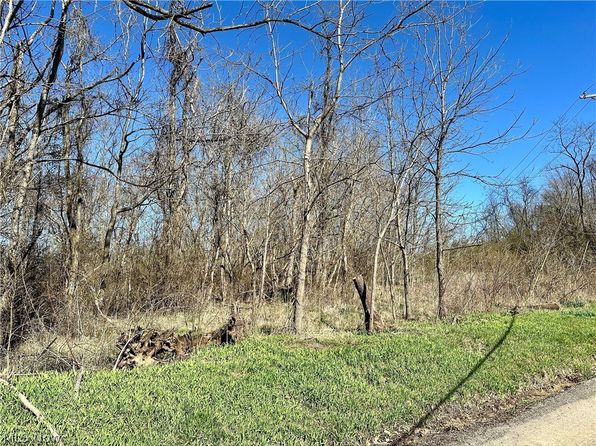 0 Fisher Ridge Rd TRACT 5, Fleming, OH 45729