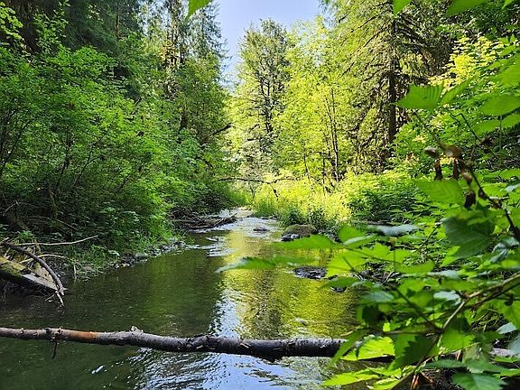 2nd image of 7882 Silver Lake Road