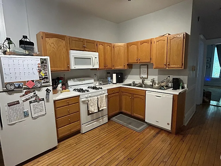 1617 W Cornelia Ave #1 — Photo 3