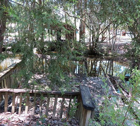 3rd image of 9389 Woodland Dr