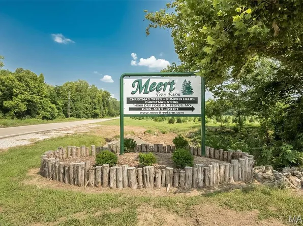 14560 Dry Fork Rd, Festus, MO 63028