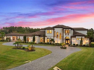 12405 Stonelake Ranch Blvd, Thonotosassa, FL, 33592