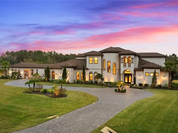 12405 Stonelake Ranch Blvd, Thonotosassa, FL 33592