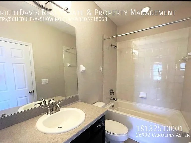 26992 Carolina Aster Dr — Photo 19