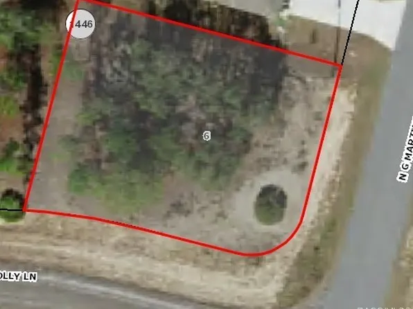 11128 N G Martinelli Blvd, Citrus Springs, FL 34433