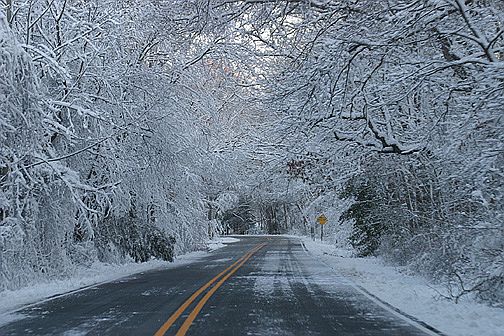 winter scene near home