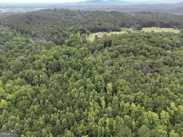 0 Hopeful Rd Lot 1, Munford, AL 36268