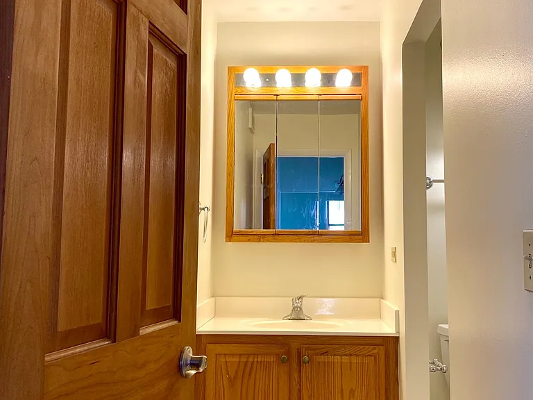 600 S Dearborn St #1202 — Photo 11