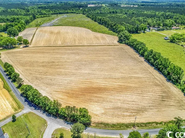 TBD Fork of Swamp Rd., Galivants Ferry, SC 29544