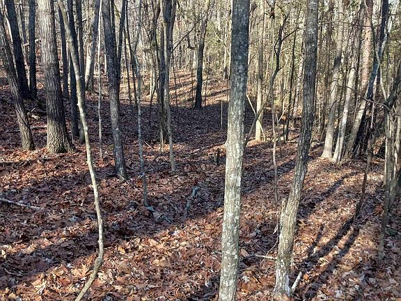2nd image of 7 Deer Creek Dr