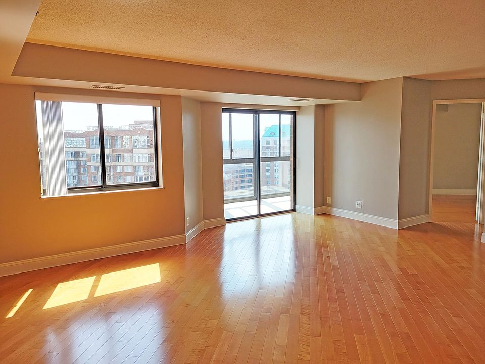 sun filled living room