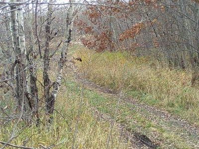 32752 163rd St, Pierz, MN, 56364