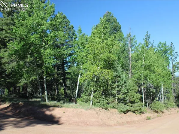 646 Pinewood Rd, Florissant, CO 80816